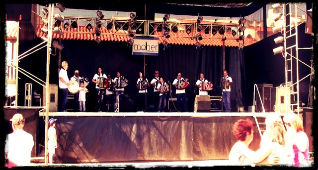 concertinas01a